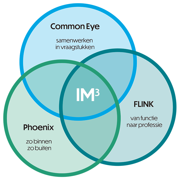 IM3 model